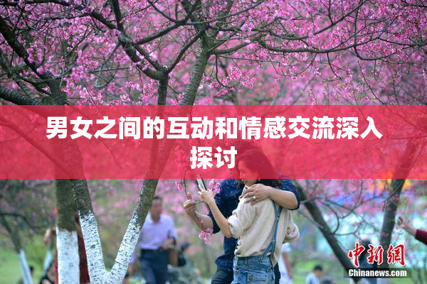 男女之间的互动和情感交流深入探讨