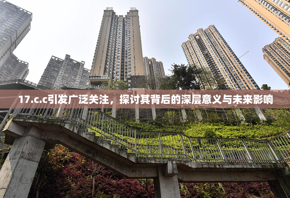17.c.c引发广泛关注，探讨其背后的深层意义与未来影响