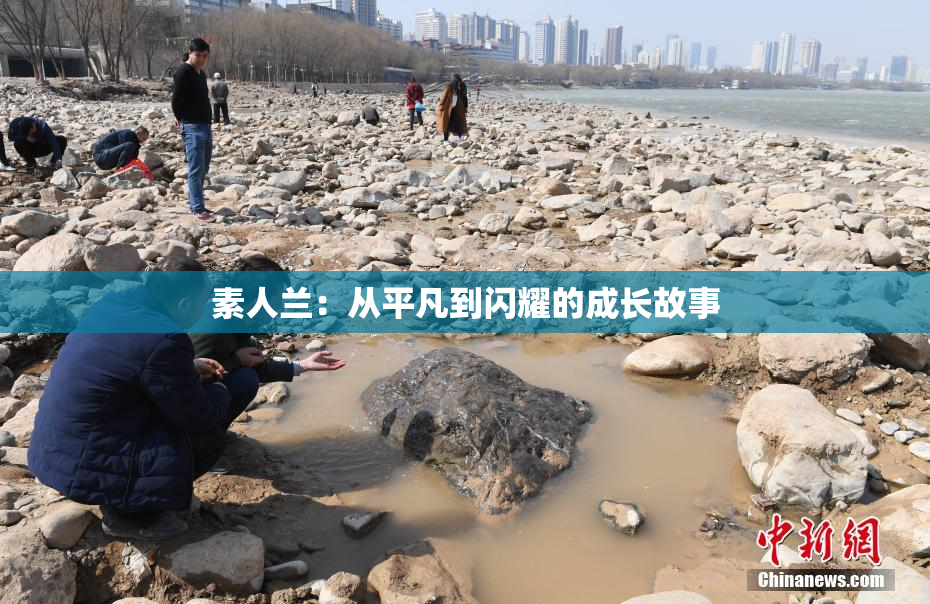 素人兰：从平凡到闪耀的成长故事