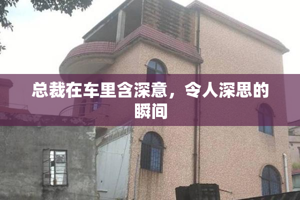总裁在车里含深意，令人深思的瞬间