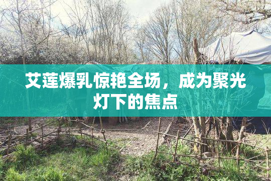 艾莲爆乳惊艳全场，成为聚光灯下的焦点