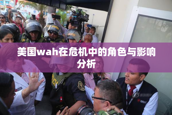 美国wah在危机中的角色与影响分析