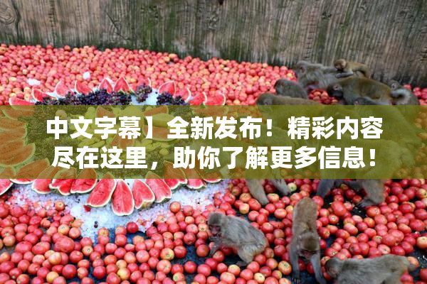 中文字幕】全新发布！精彩内容尽在这里，助你了解更多信息！