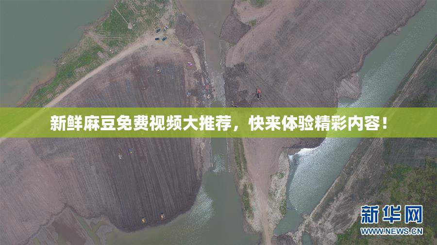 新鲜麻豆免费视频大推荐，快来体验精彩内容！