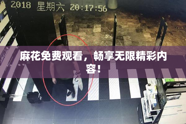 麻花免费观看，畅享无限精彩内容！