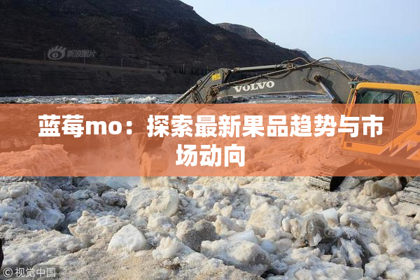 蓝莓mo：探索最新果品趋势与市场动向