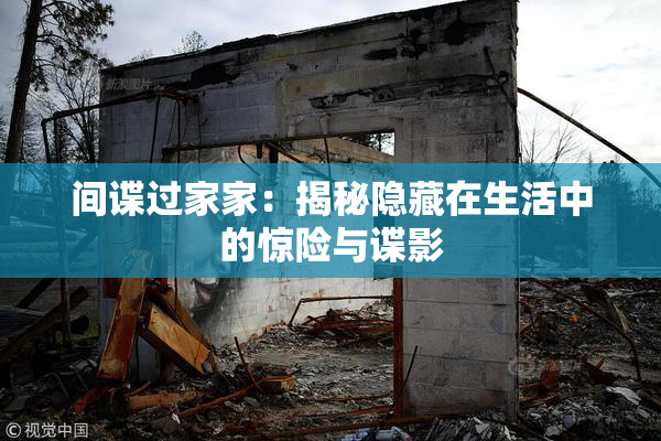 间谍过家家：揭秘隐藏在生活中的惊险与谍影