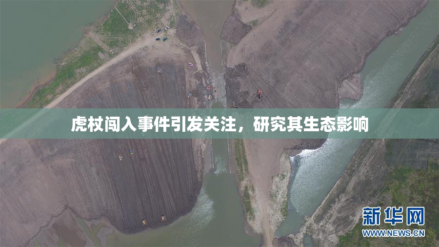 虎杖闯入事件引发关注，研究其生态影响