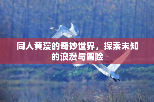 同人黄漫的奇妙世界，探索未知的浪漫与冒险