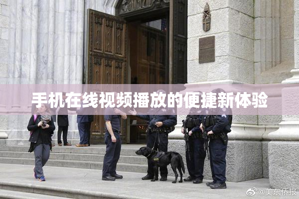 手机在线视频播放的便捷新体验