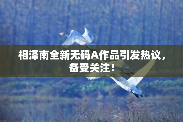 相泽南全新无码A作品引发热议，备受关注！