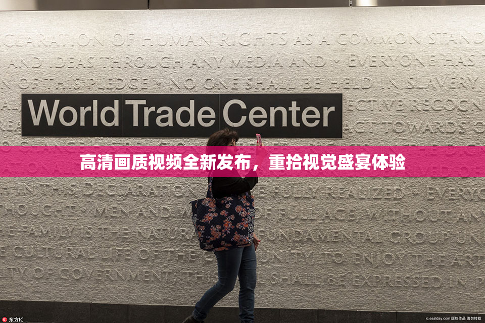 高清画质视频全新发布，重拾视觉盛宴体验