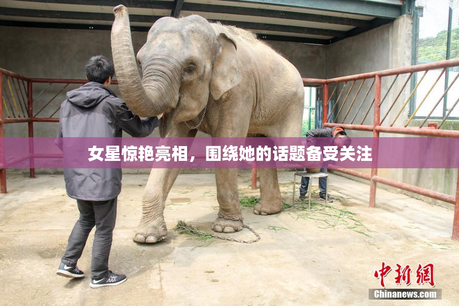 女星惊艳亮相，围绕她的话题备受关注