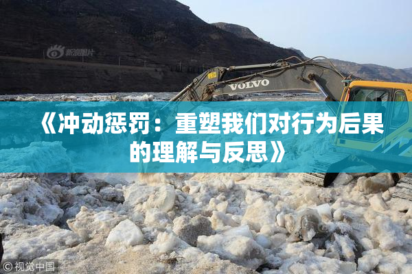 《冲动惩罚：重塑我们对行为后果的理解与反思》