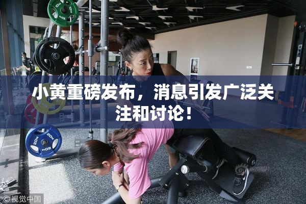 小黄重磅发布，消息引发广泛关注和讨论！