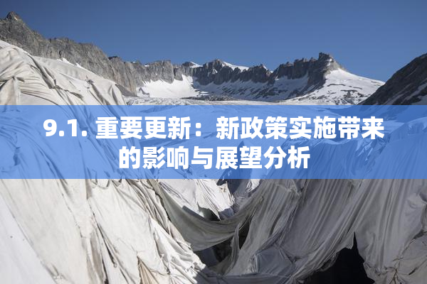 9.1. 重要更新：新政策实施带来的影响与展望分析