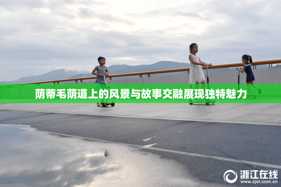 荫蒂毛荫道上的风景与故事交融展现独特魅力