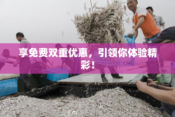 享免费双重优惠，引领你体验精彩！