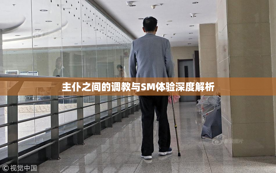 主仆之间的调教与SM体验深度解析