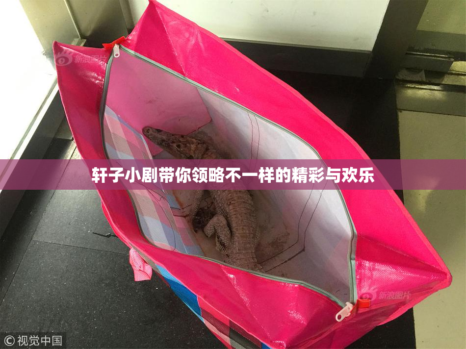 轩子小剧带你领略不一样的精彩与欢乐