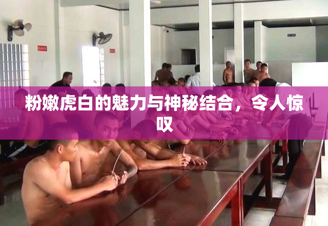 粉嫩虎白的魅力与神秘结合，令人惊叹