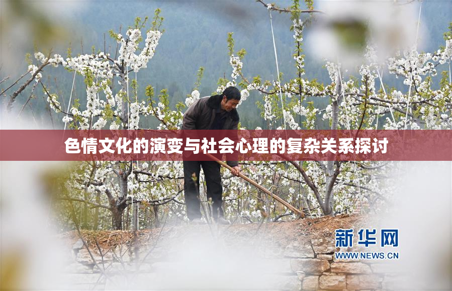 色情文化的演变与社会心理的复杂关系探讨
