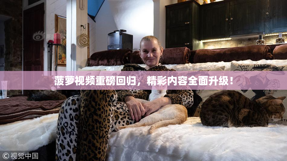 菠萝视频重磅回归，精彩内容全面升级！