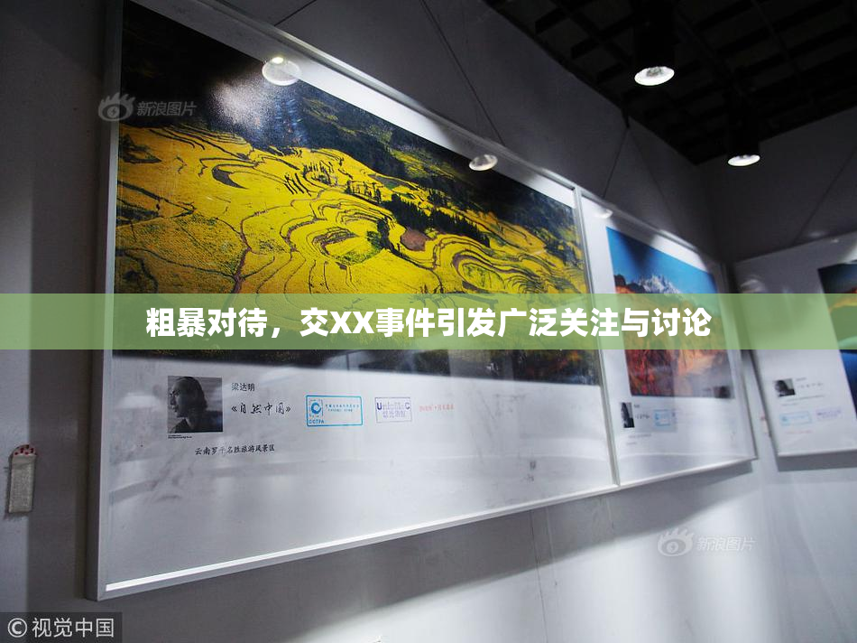 粗暴对待，交XX事件引发广泛关注与讨论