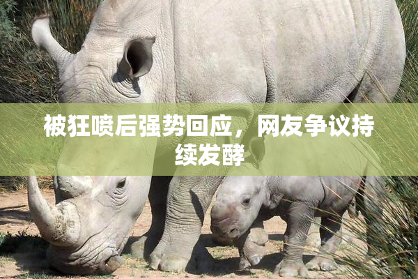 被狂喷后强势回应，网友争议持续发酵