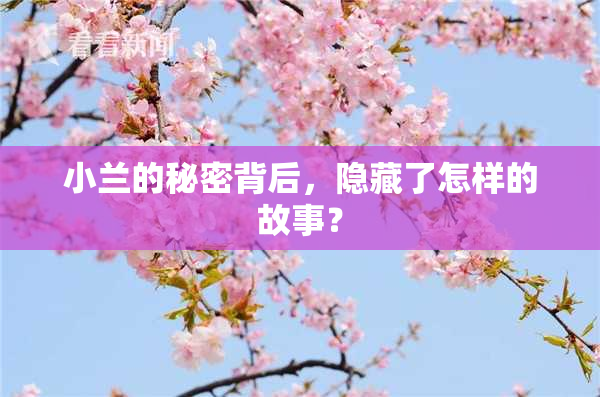 小兰的秘密背后，隐藏了怎样的故事？