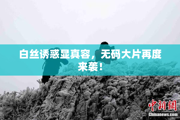 白丝诱惑显真容，无码大片再度来袭！