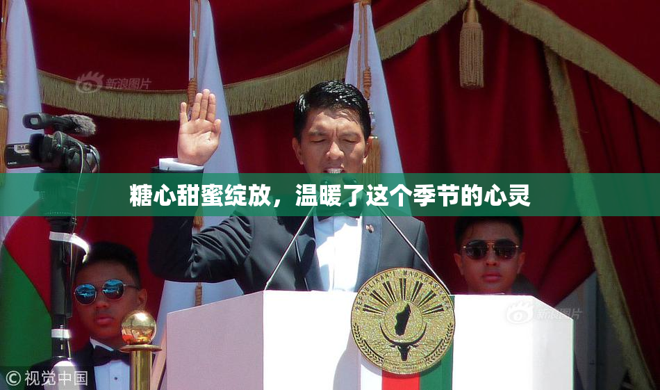 糖心甜蜜绽放，温暖了这个季节的心灵