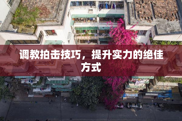 调教拍击技巧，提升实力的绝佳方式