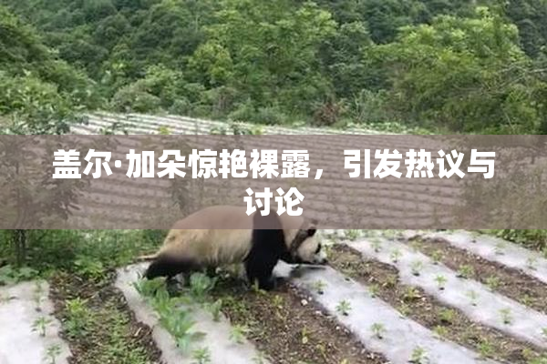 盖尔·加朵惊艳裸露，引发热议与讨论