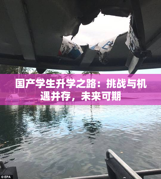 国产学生升学之路：挑战与机遇并存，未来可期