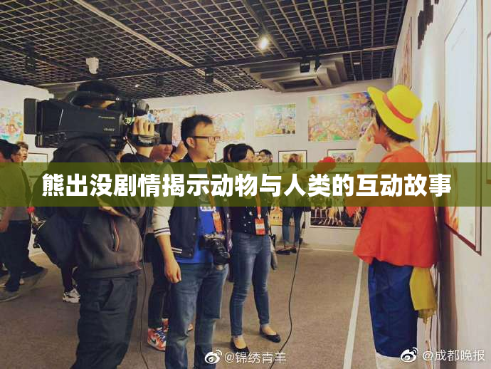 熊出没剧情揭示动物与人类的互动故事