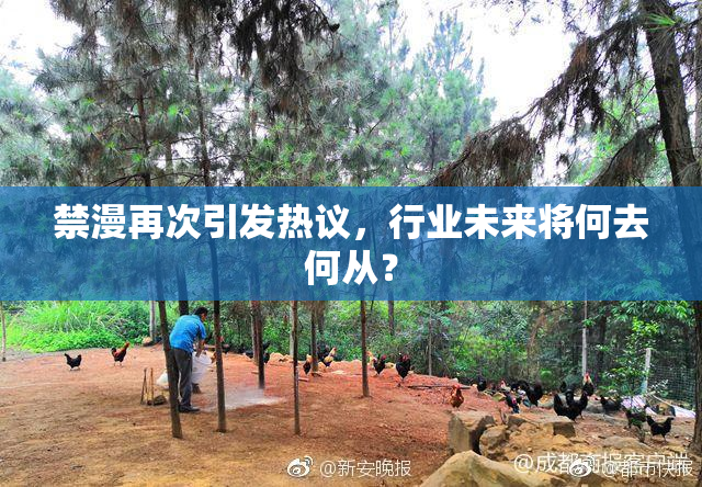 禁漫再次引发热议，行业未来将何去何从？