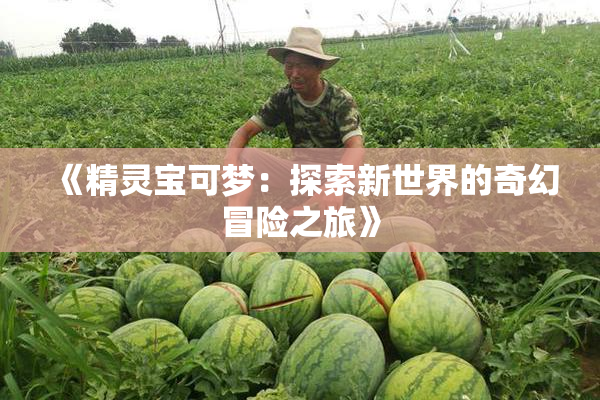 《精灵宝可梦：探索新世界的奇幻冒险之旅》