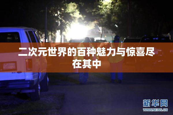 二次元世界的百种魅力与惊喜尽在其中