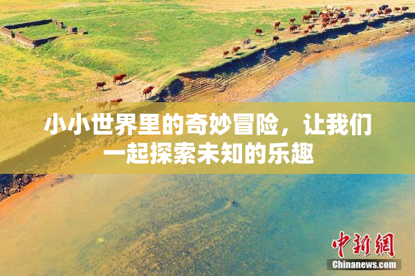 小小世界里的奇妙冒险，让我们一起探索未知的乐趣