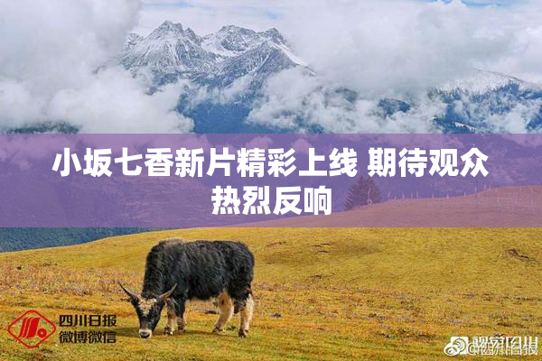 小坂七香新片精彩上线 期待观众热烈反响