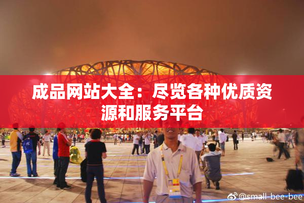 成品网站大全：尽览各种优质资源和服务平台