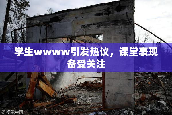 学生wwww引发热议，课堂表现备受关注