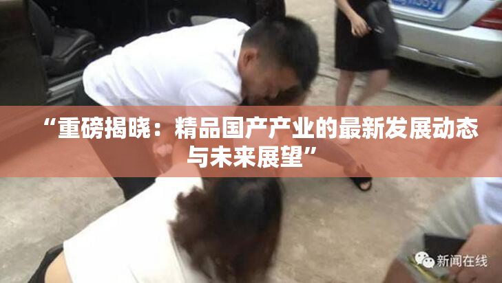 “重磅揭晓：精品国产产业的最新发展动态与未来展望”