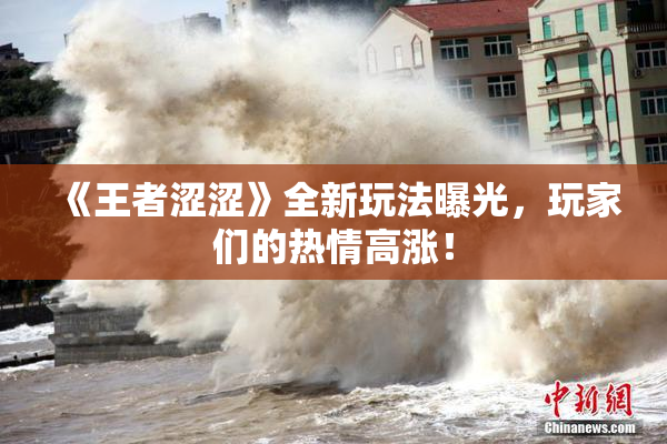 《王者涩涩》全新玩法曝光，玩家们的热情高涨！