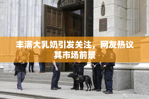 丰满大乳奶引发关注，网友热议其市场前景