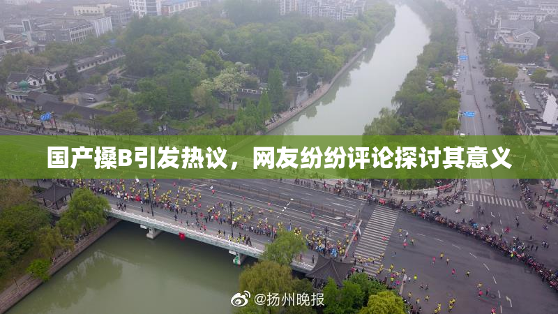 国产搡B引发热议，网友纷纷评论探讨其意义