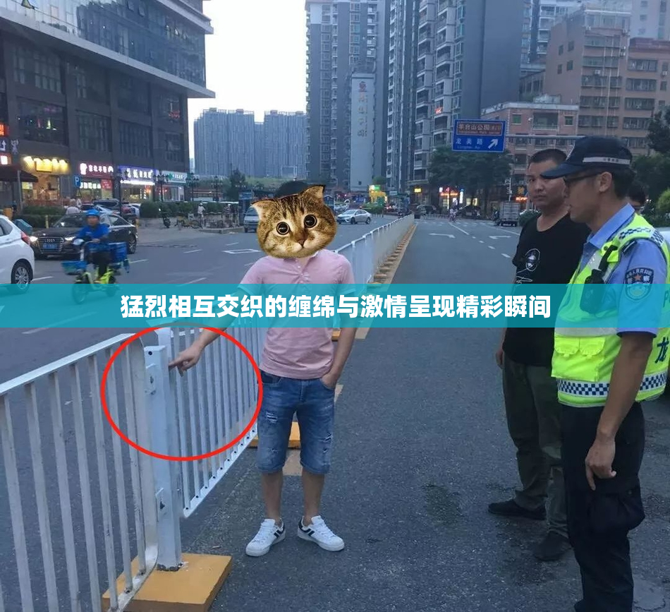 猛烈相互交织的缠绵与激情呈现精彩瞬间