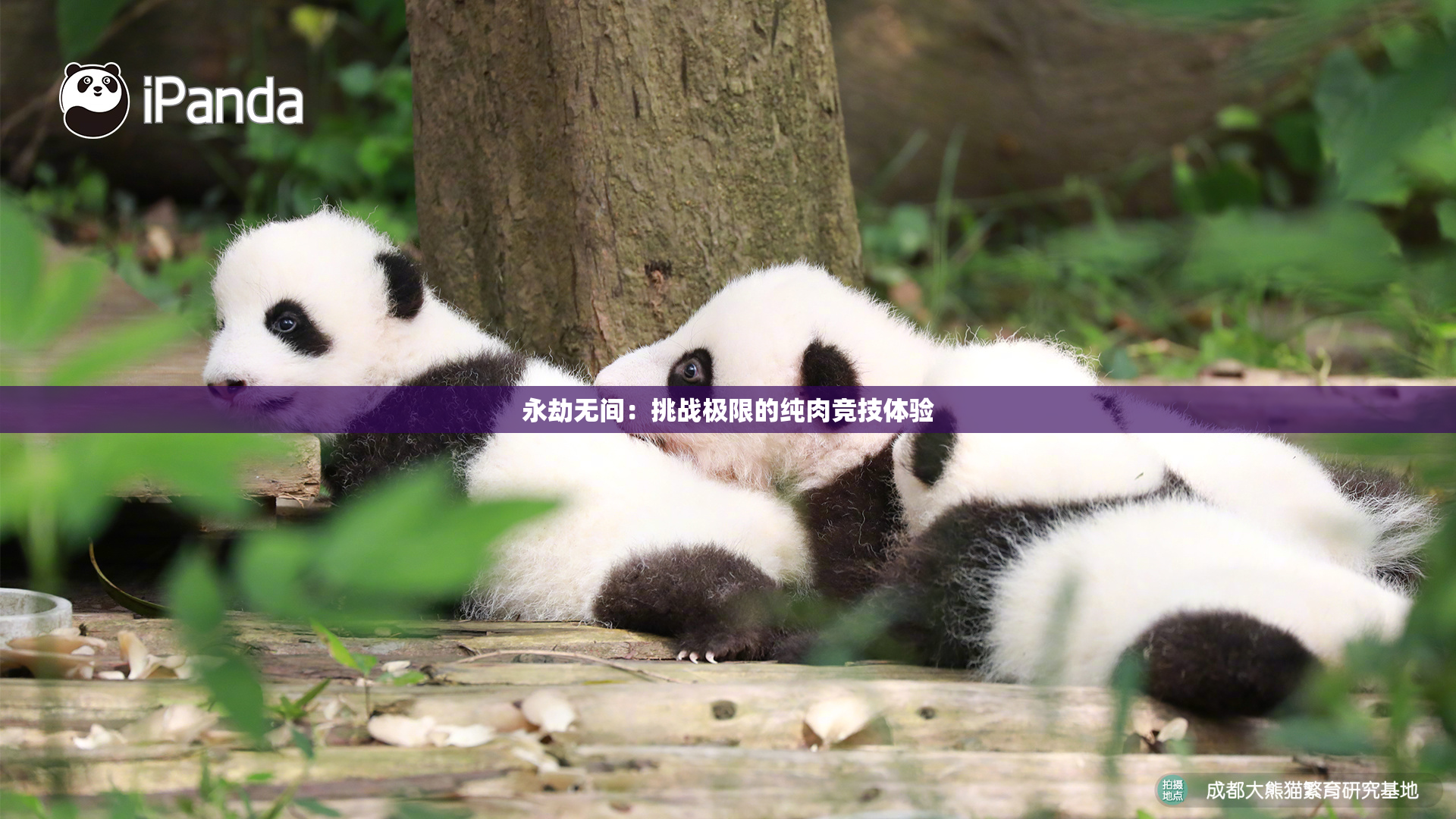 永劫无间：挑战极限的纯肉竞技体验