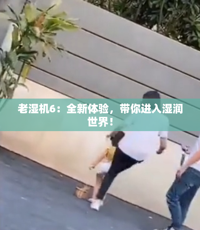 老湿机6：全新体验，带你进入湿润世界！